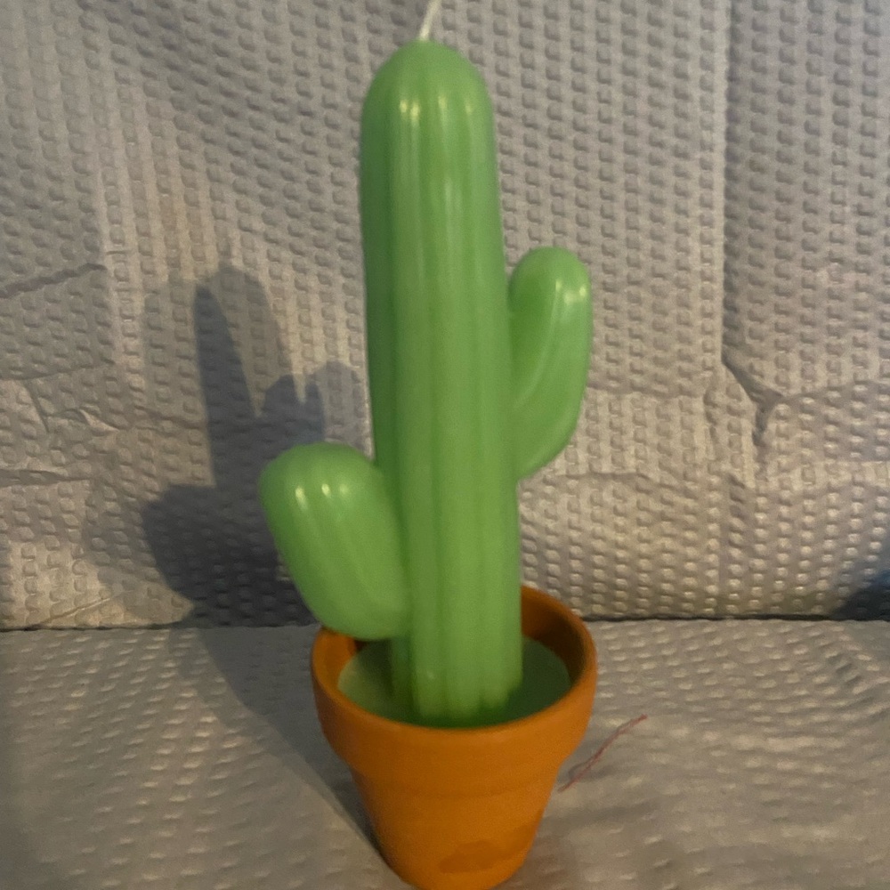Green Cactus Candle in Terracotta Pot